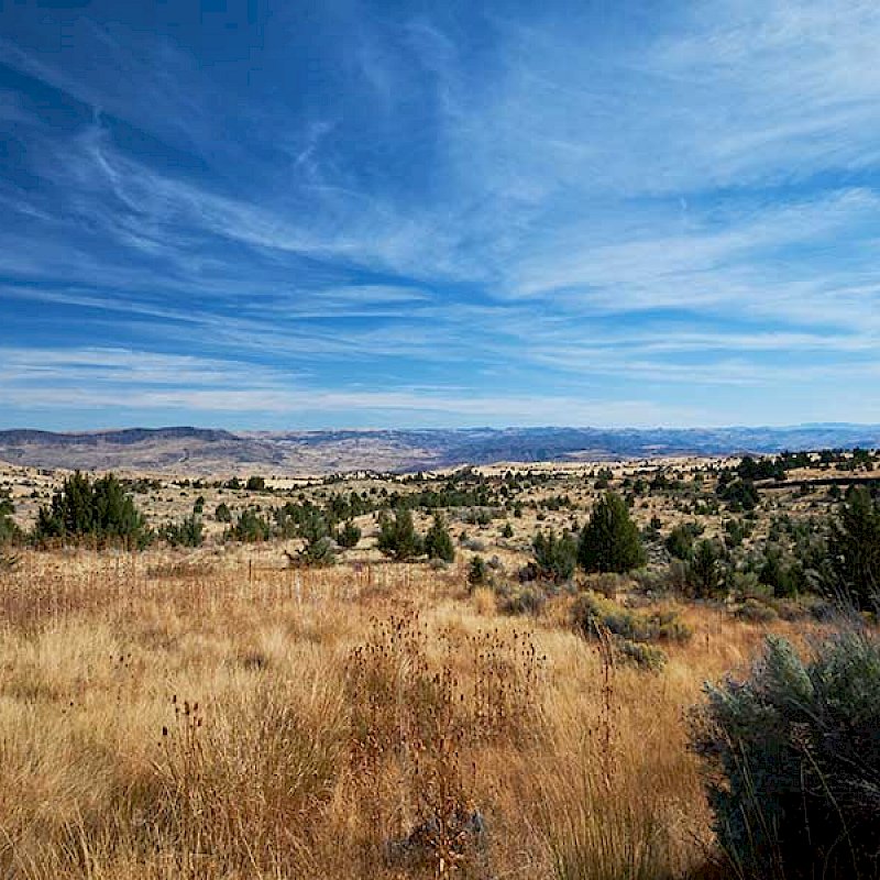 Riverhouse on the Deschutes